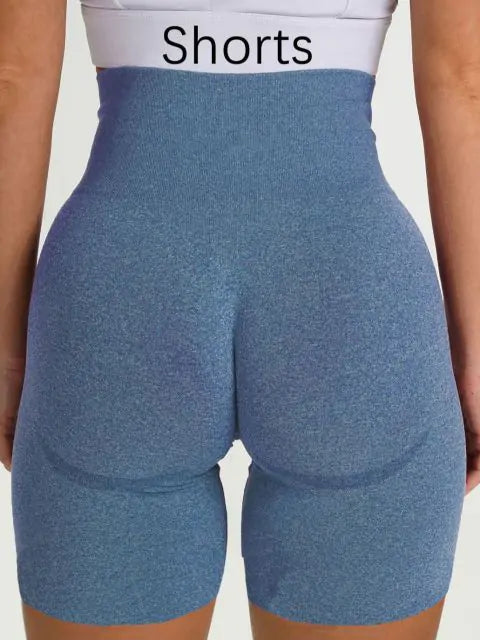 Seamless Contour Leggings or Shorts