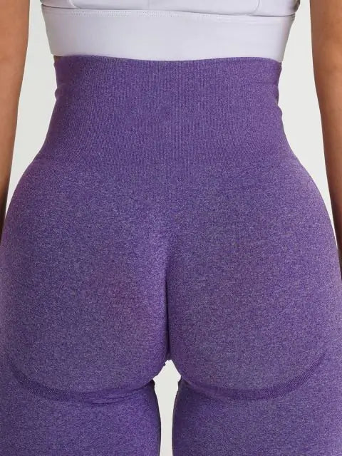 Seamless Contour Leggings or Shorts