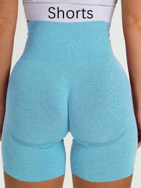 Seamless Contour Leggings or Shorts